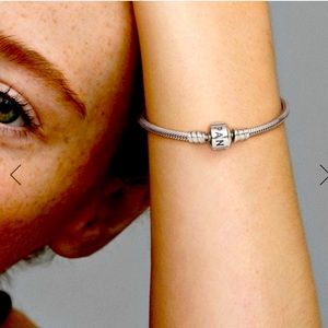 Pandora Moments Snake Chain Bracelet